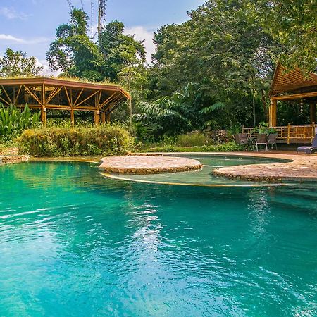 Banana Bamboo Ecolodge Ubatumirim Exterior foto